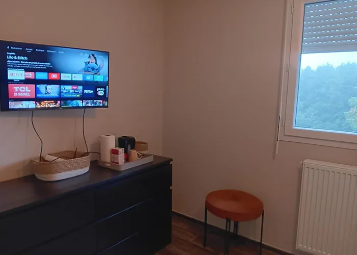 Privee Dans Maison Familiale * Charmes (Vosges)